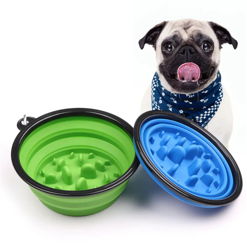 Gamelle anti-glouton pour chien & chat