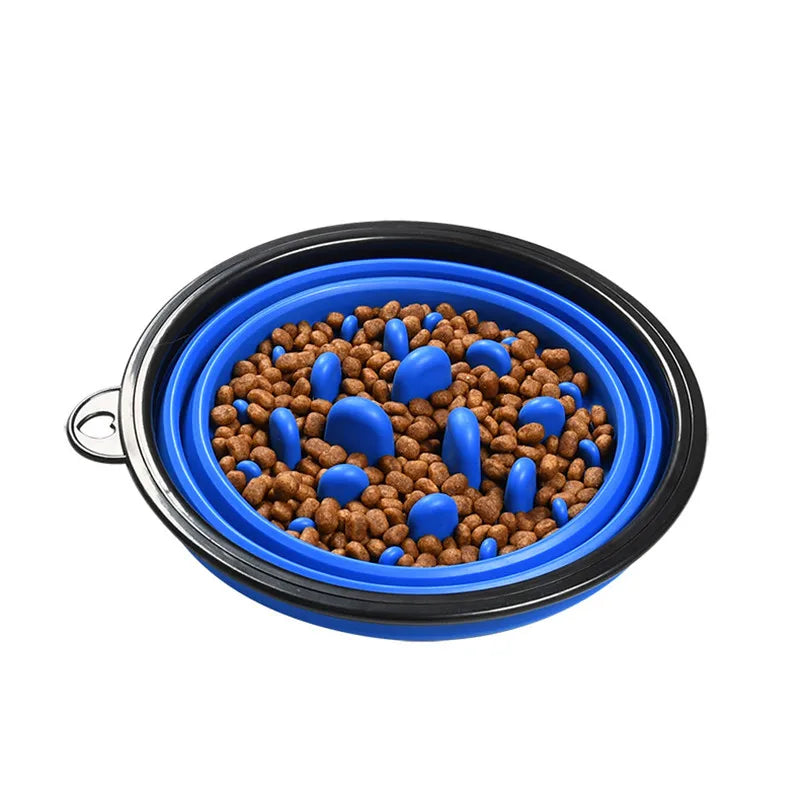 Gamelle anti-glouton pour chien & chat