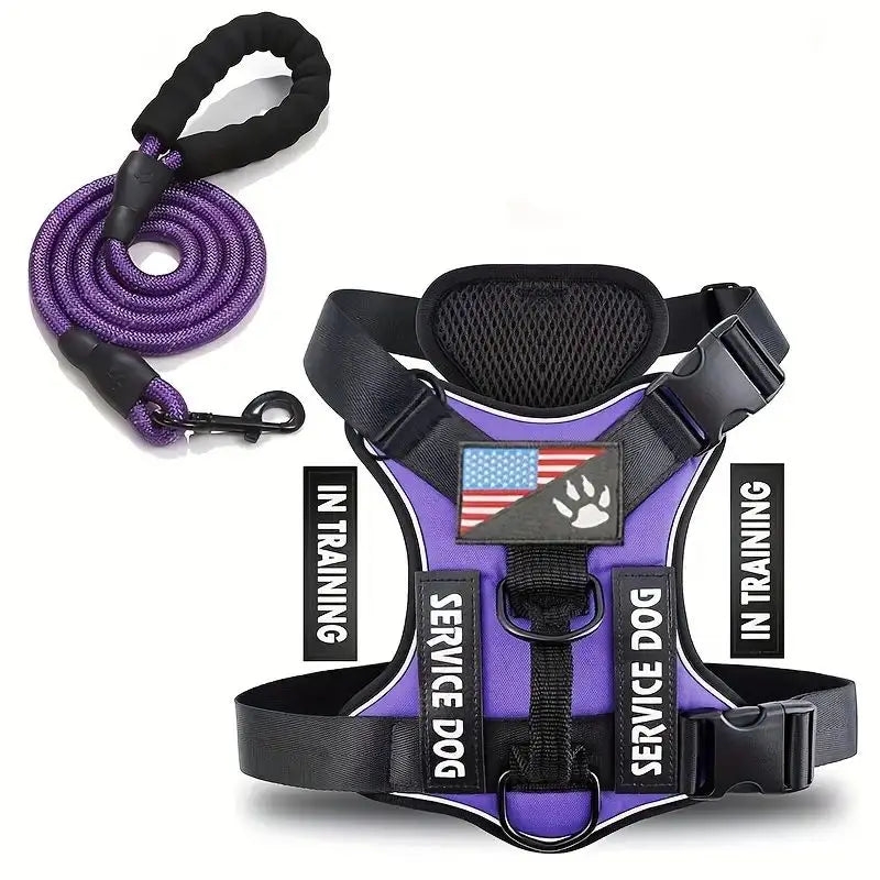 Harnais anti-traction réglable pour chien + laisse