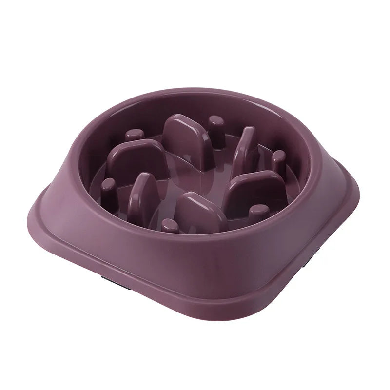 Gamelle anti-glouton pour chien & chat