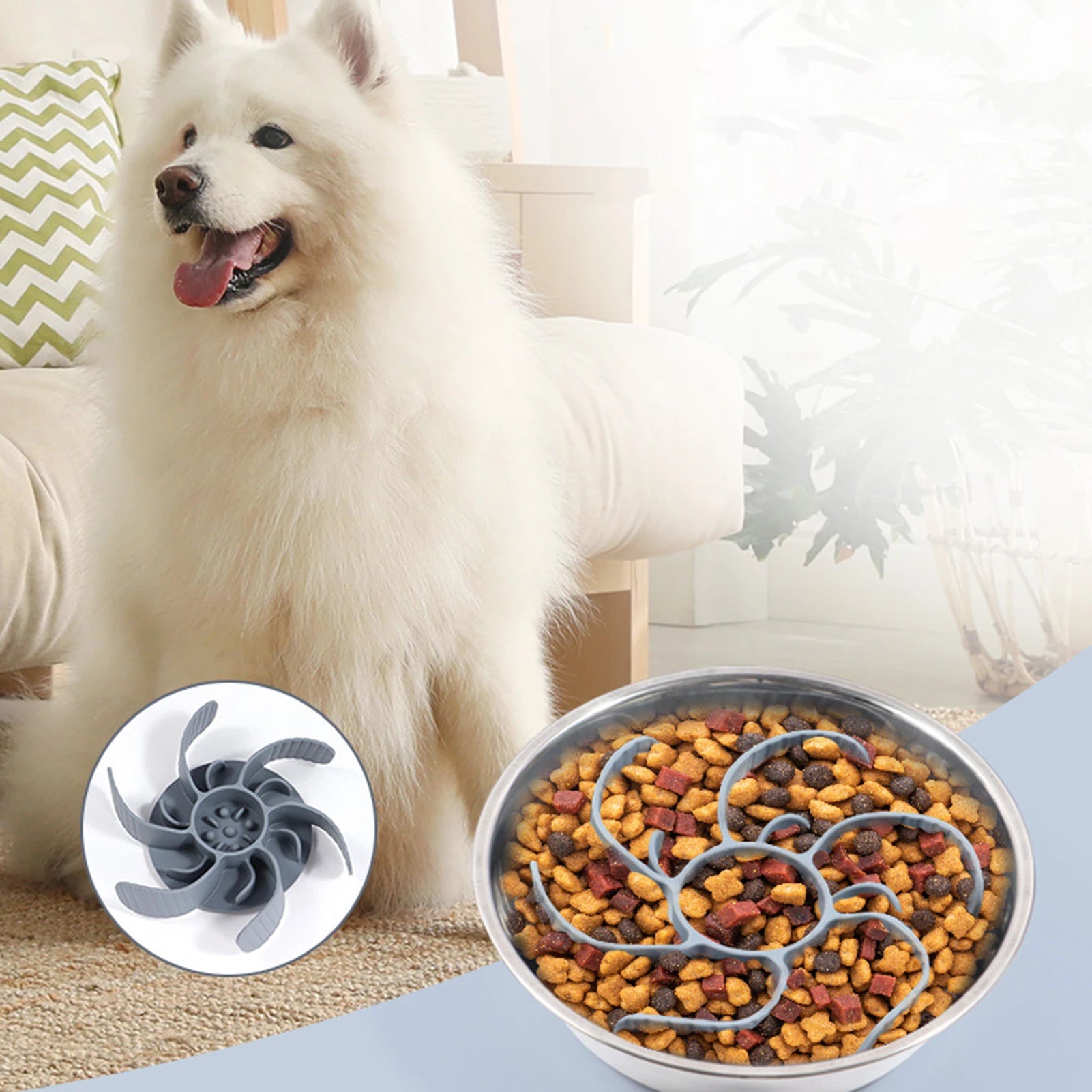 Gamelle anti-glouton pour chien & chat