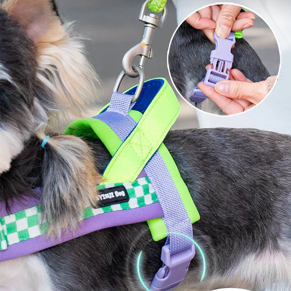 Harnais anti-traction réglable pour chien + laisse