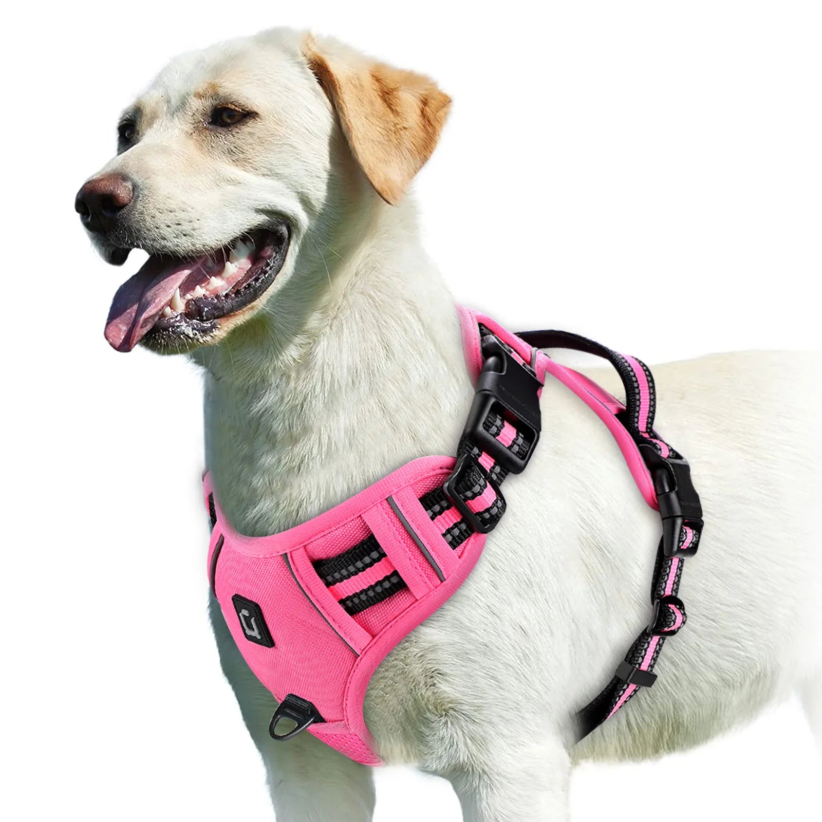 Harnais anti-traction réglable pour chien + laisse