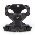 Harnais anti-traction réglable pour chien + laisse