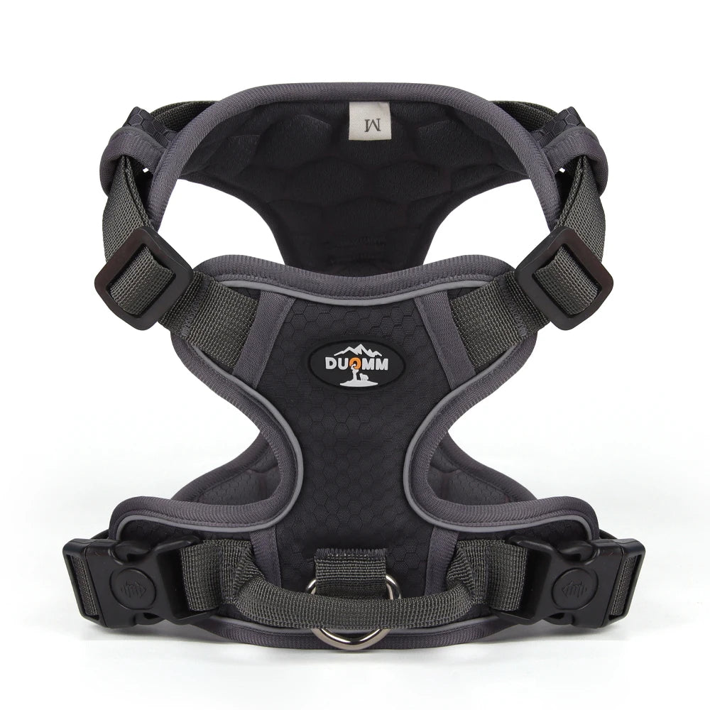 Harnais anti-traction réglable pour chien + laisse