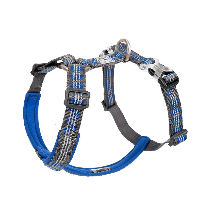 Harnais anti-traction réglable pour chien + laisse