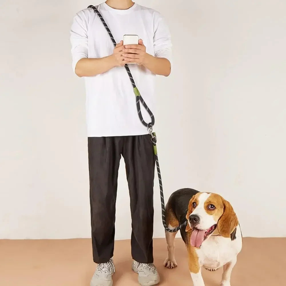 Harnais anti-traction réglable pour chien + laisse