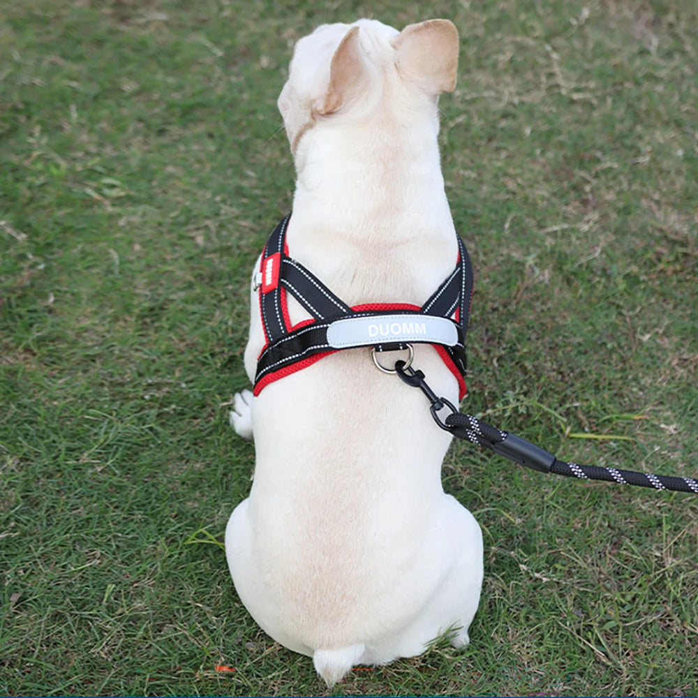 Harnais anti-traction réglable pour chien + laisse