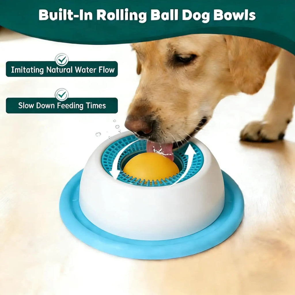Gamelle anti-glouton pour chien & chat