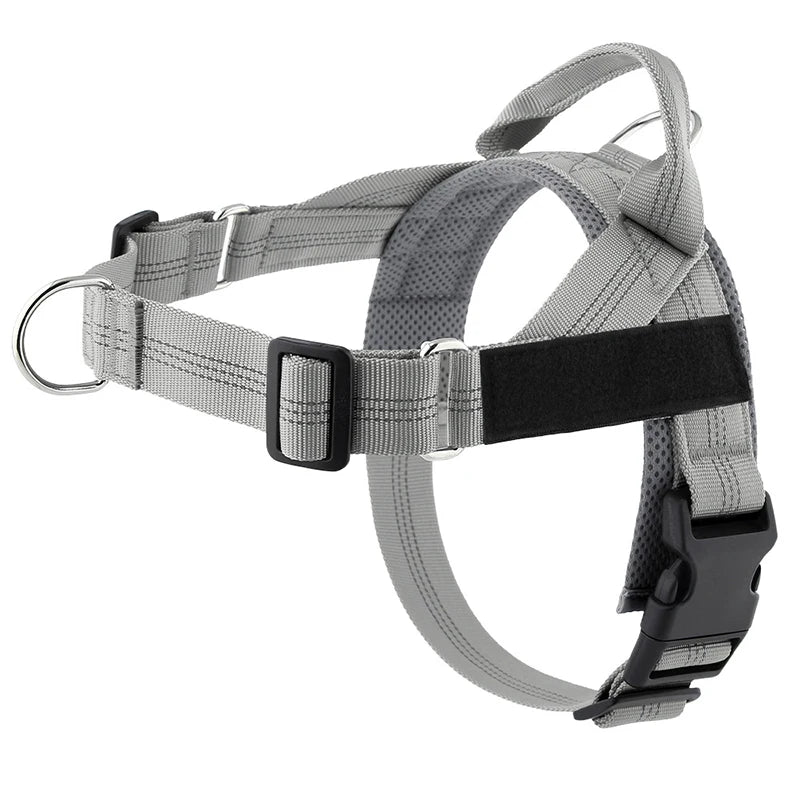 Harnais anti-traction réglable pour chien + laisse