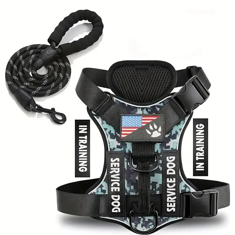 Harnais anti-traction réglable pour chien + laisse
