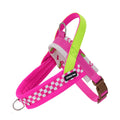 Harnais anti-traction réglable pour chien + laisse