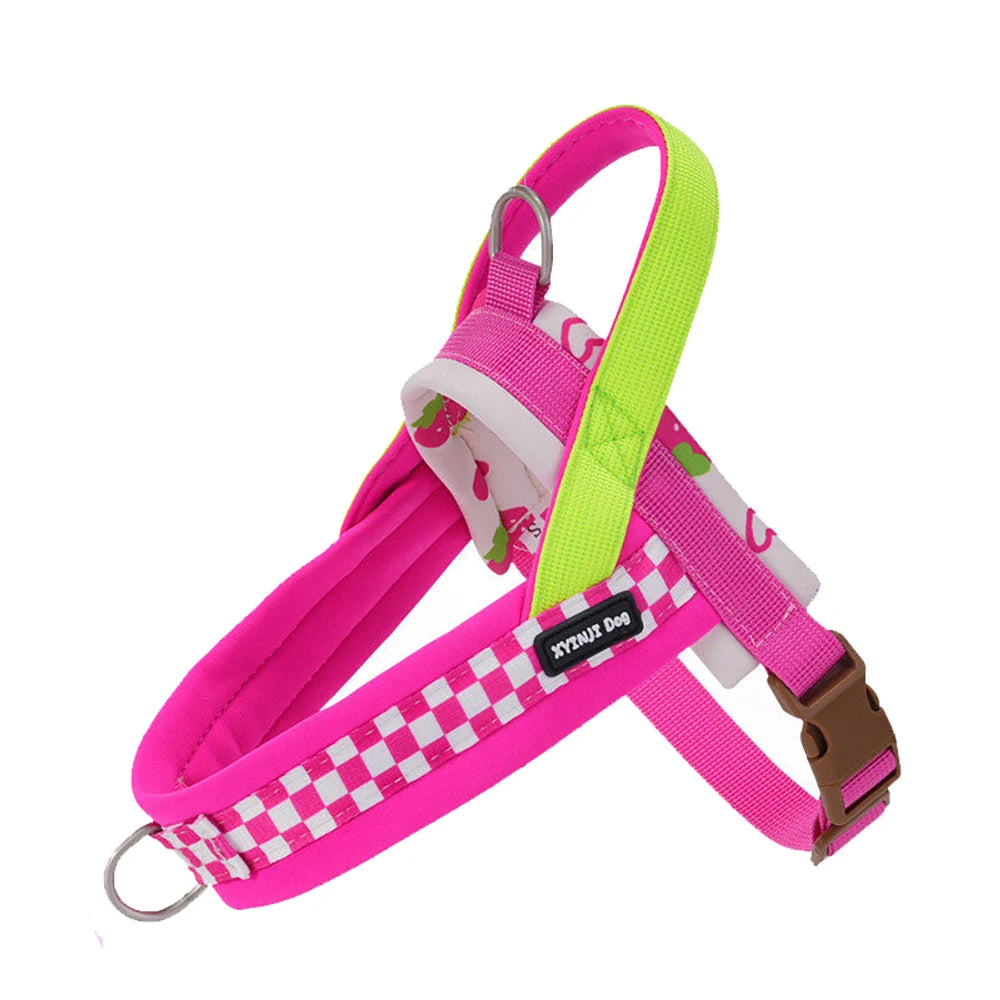 Harnais anti-traction réglable pour chien + laisse
