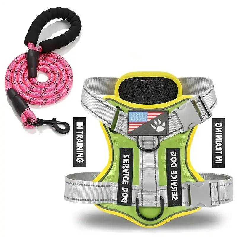 Harnais anti-traction réglable pour chien + laisse