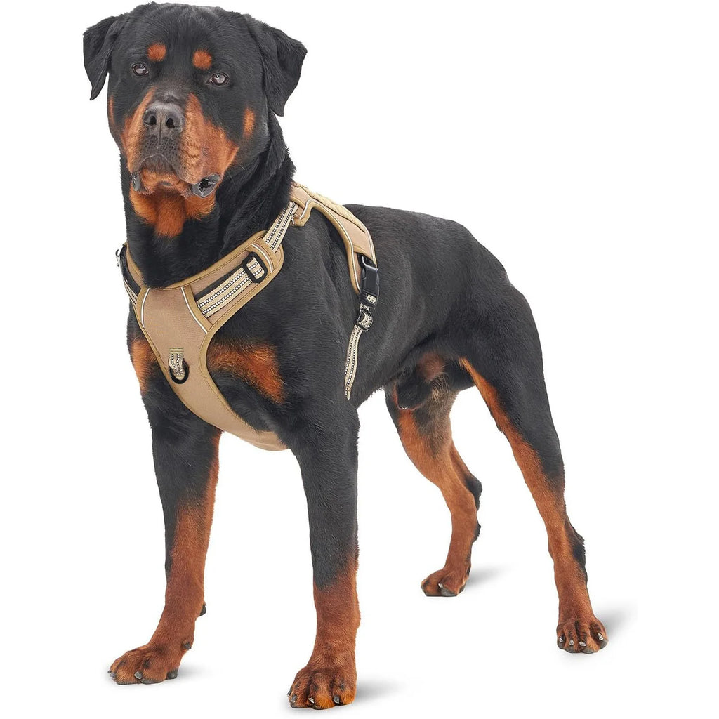 Harnais anti-traction réglable pour chien + laisse