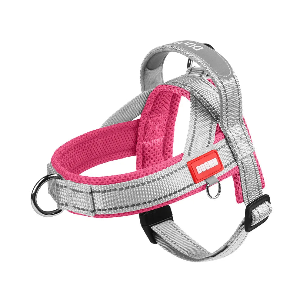 Harnais anti-traction réglable pour chien + laisse