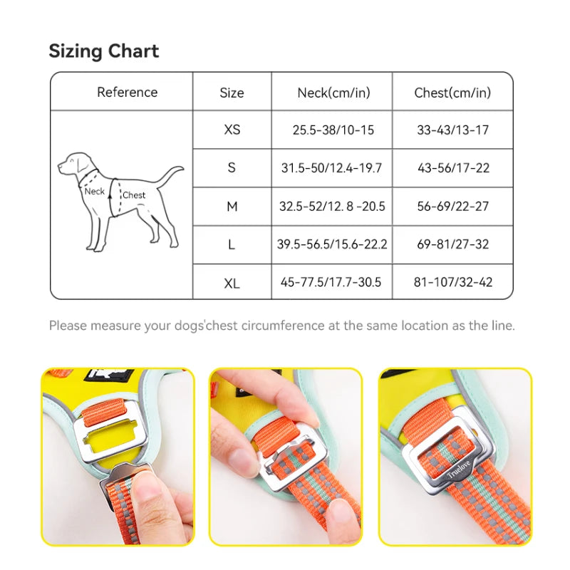 Harnais anti-traction réglable pour chien + laisse