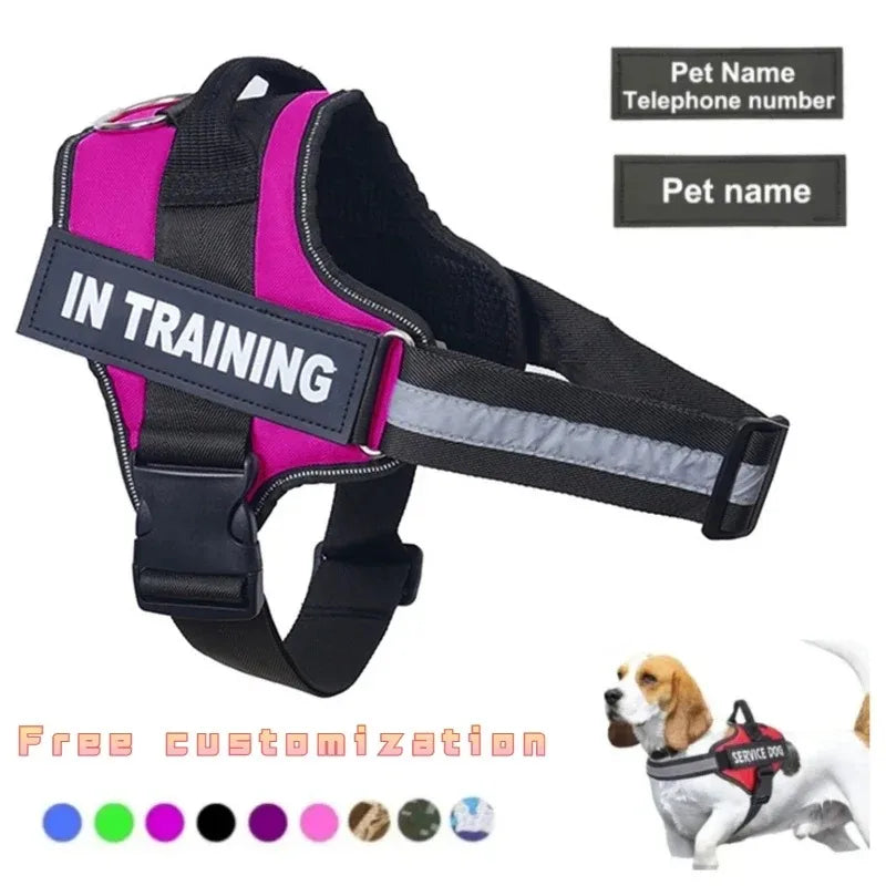 Harnais anti-traction réglable pour chien + laisse