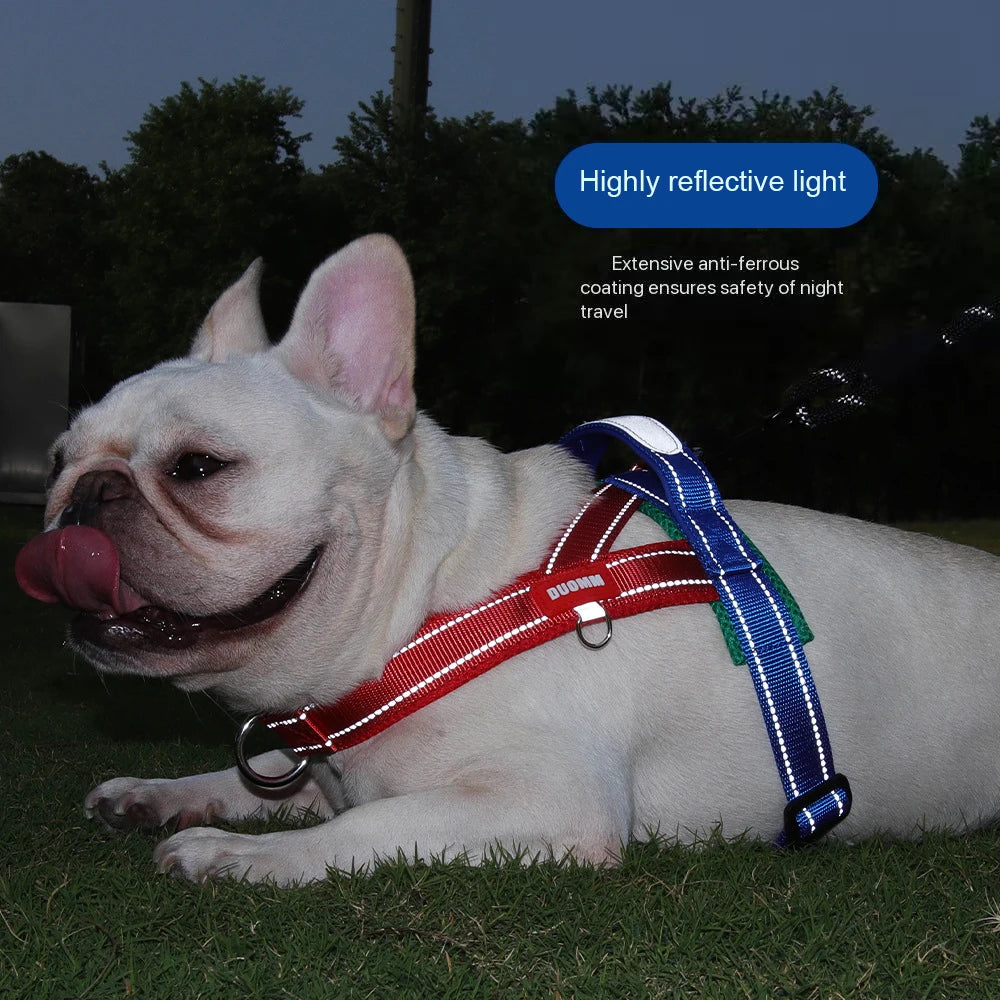 Harnais anti-traction réglable pour chien + laisse