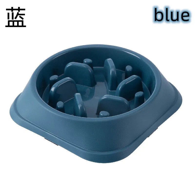 Gamelle anti-glouton pour chien & chat