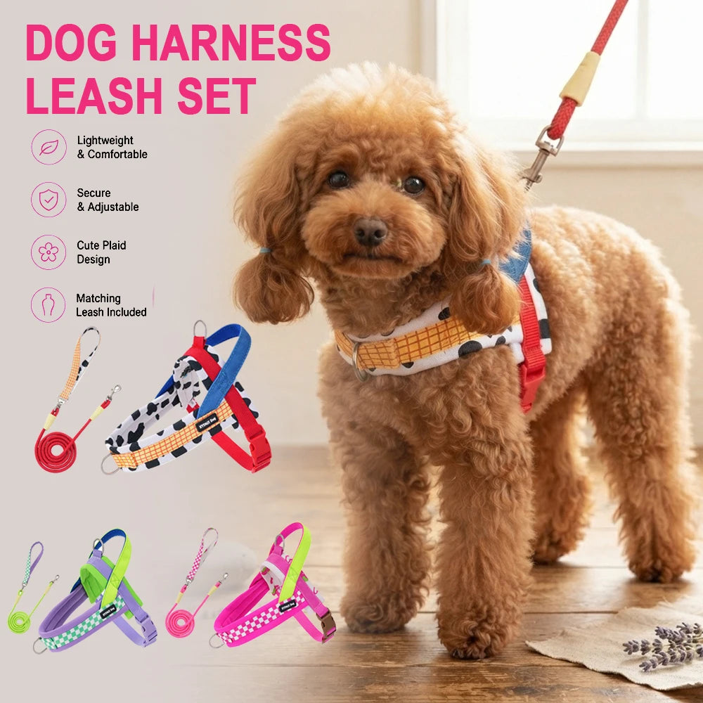 Harnais anti-traction réglable pour chien + laisse