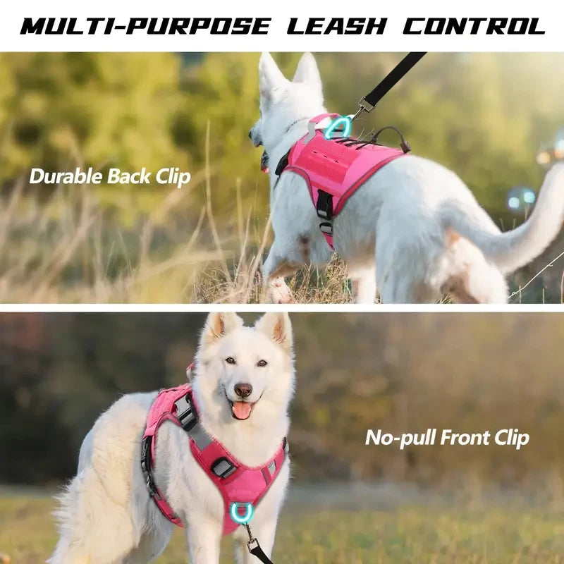 Harnais anti-traction réglable pour chien + laisse