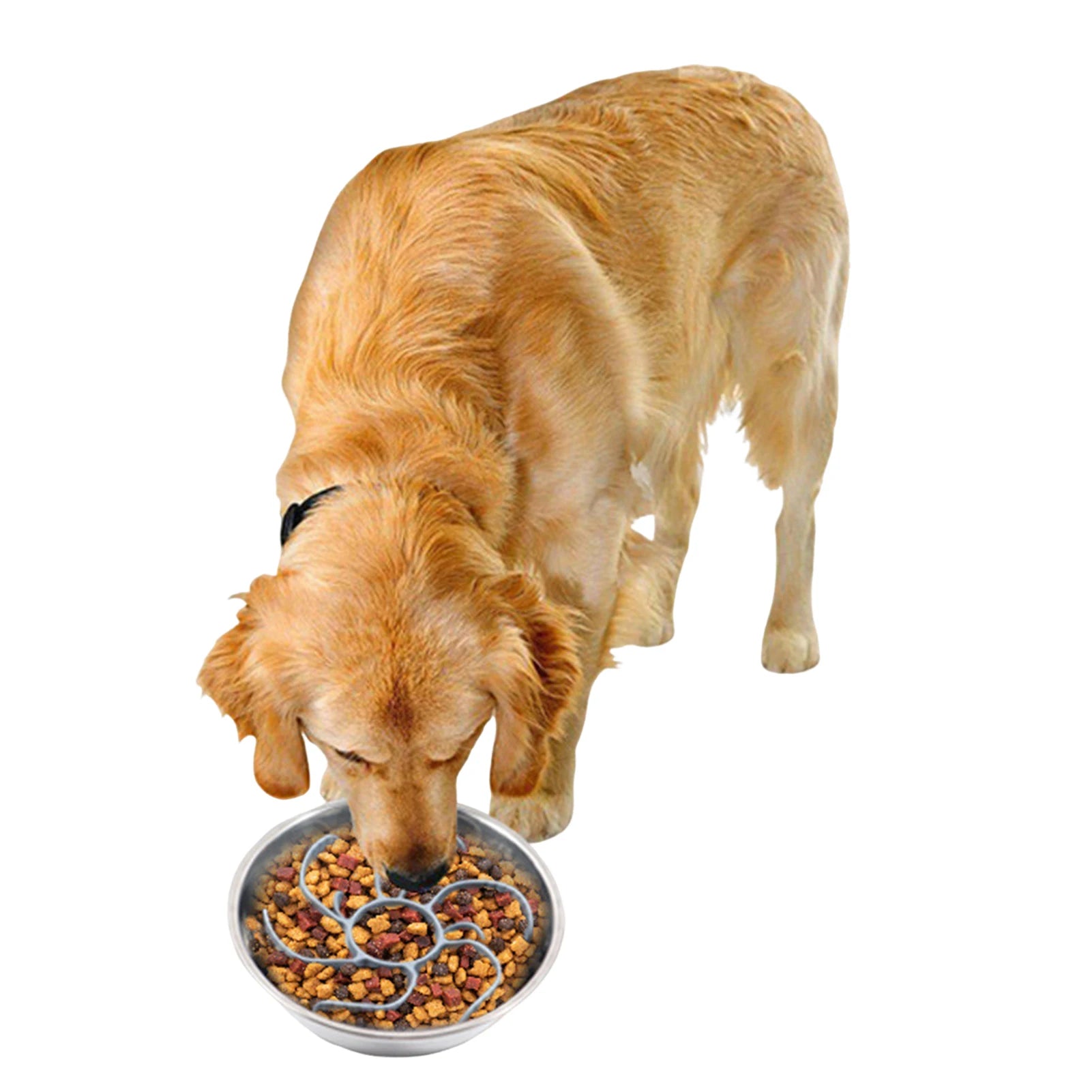 Gamelle anti-glouton pour chien & chat
