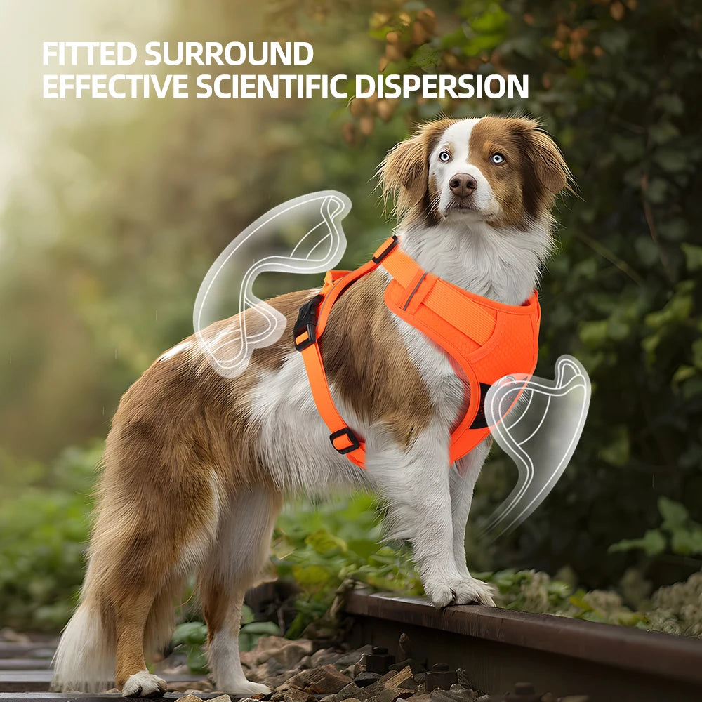Harnais anti-traction réglable pour chien + laisse