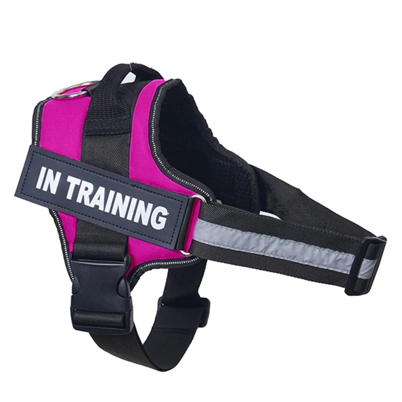 Harnais anti-traction réglable pour chien + laisse