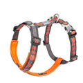 Harnais anti-traction réglable pour chien + laisse