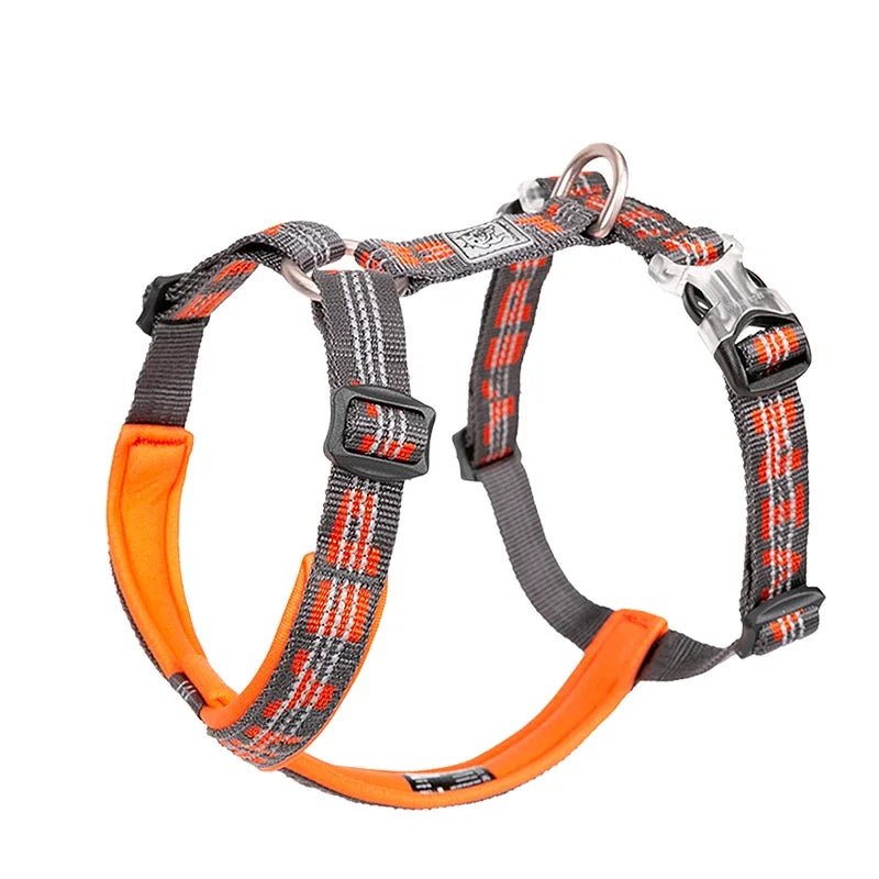 Harnais anti-traction réglable pour chien + laisse