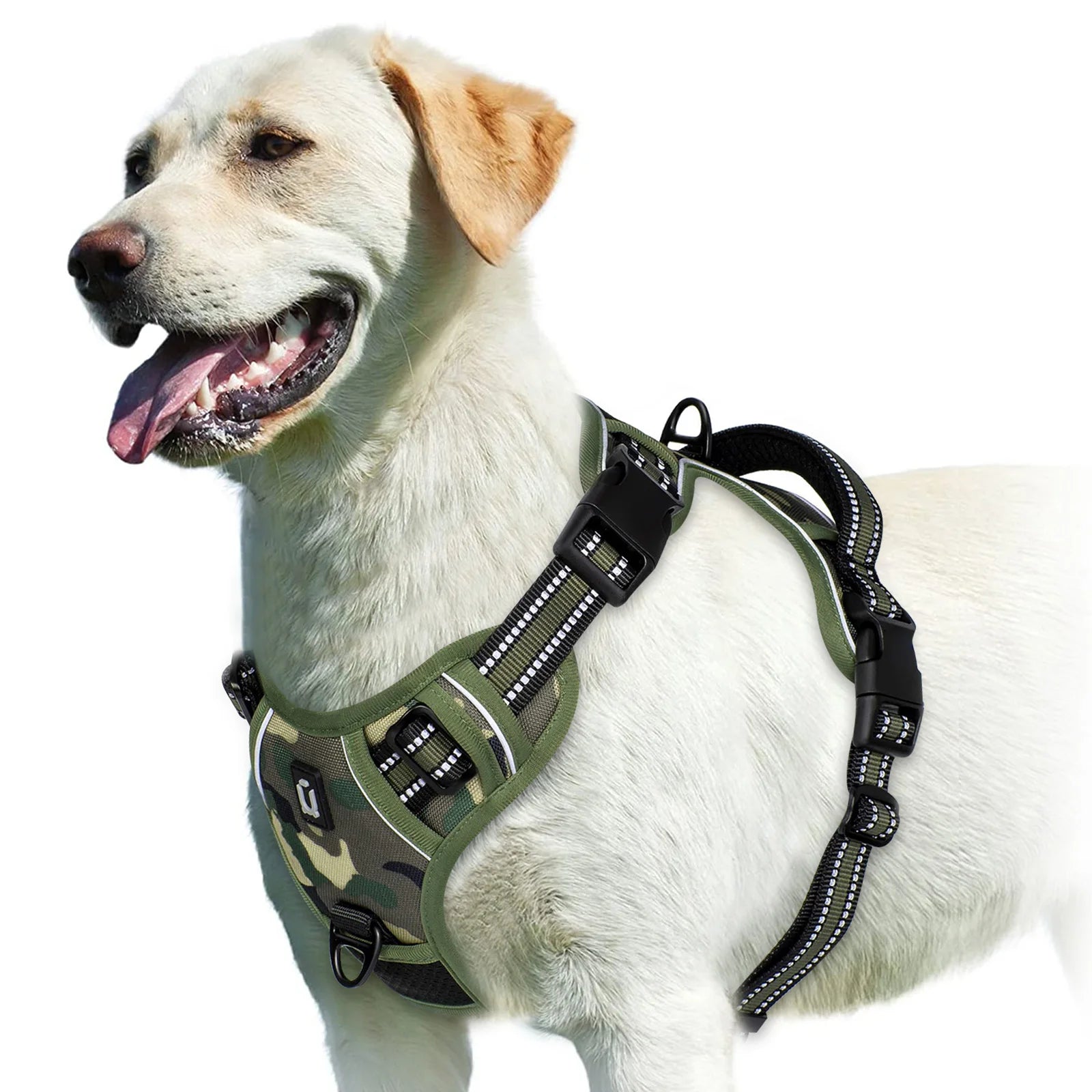 Harnais anti-traction réglable pour chien + laisse