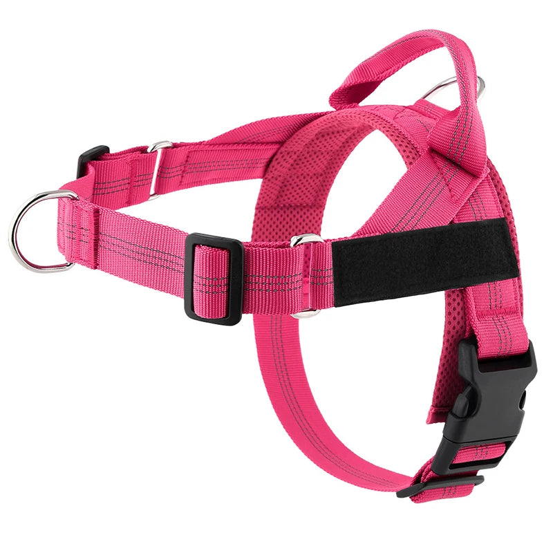 Harnais anti-traction réglable pour chien + laisse