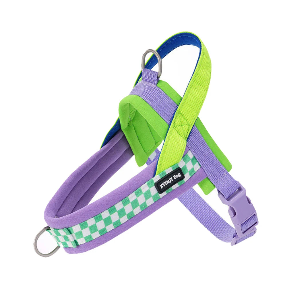 Harnais anti-traction réglable pour chien + laisse