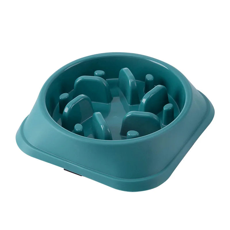 Gamelle anti-glouton pour chien & chat