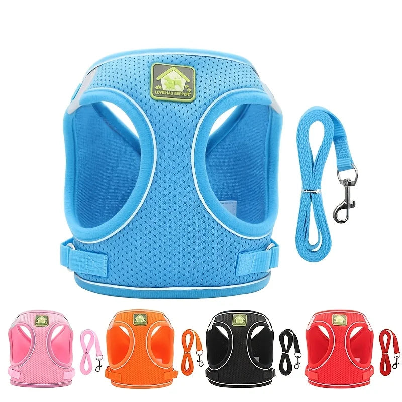 Harnais anti-traction réglable pour chien + laisse
