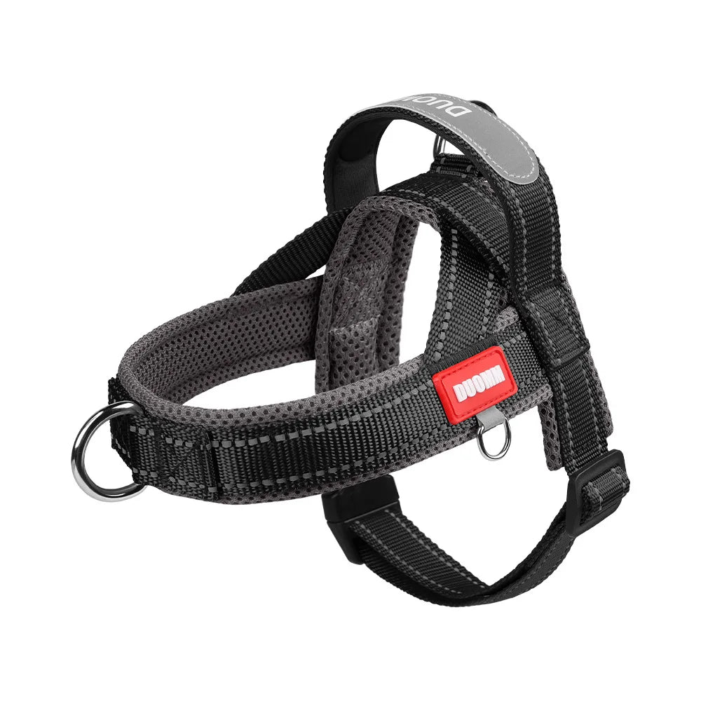 Harnais anti-traction réglable pour chien + laisse