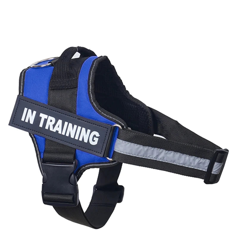 Harnais anti-traction réglable pour chien + laisse