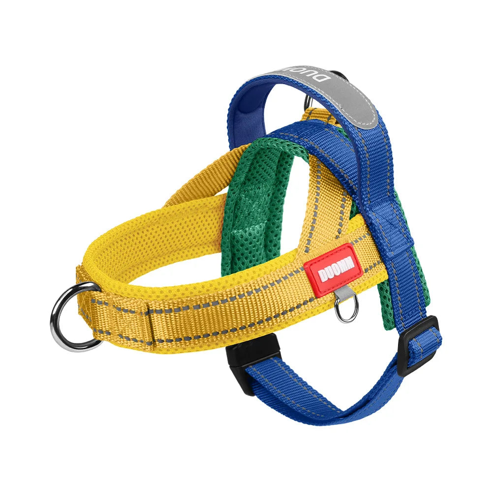 Harnais anti-traction réglable pour chien + laisse