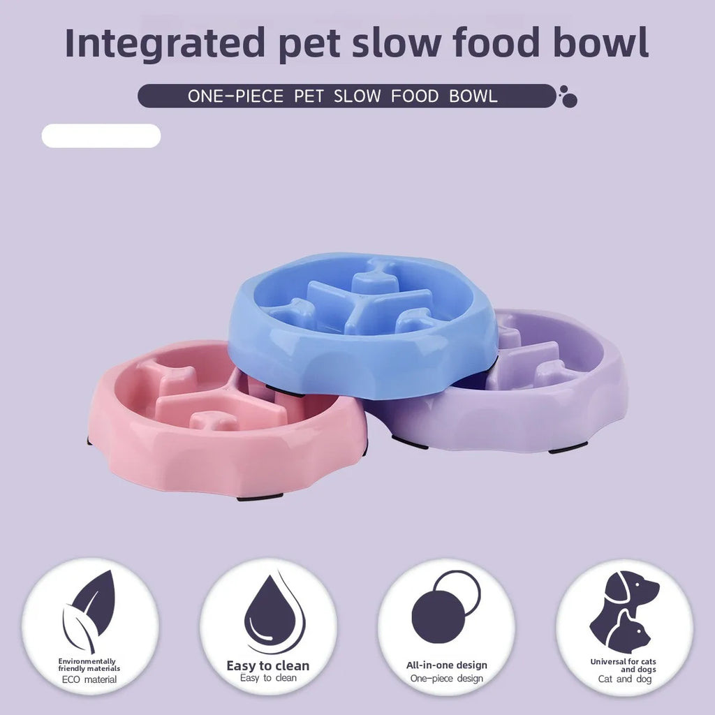 Gamelle anti-glouton pour chien & chat