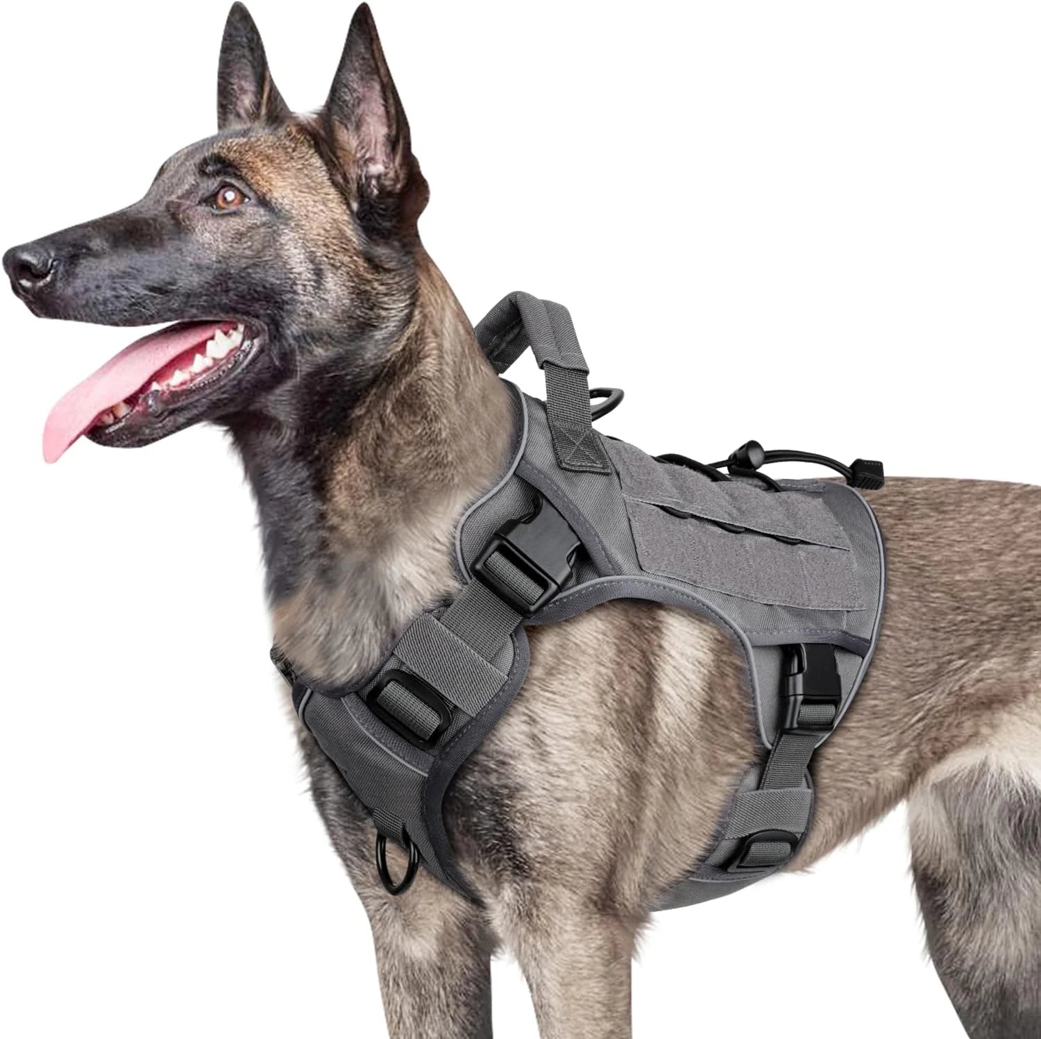 Harnais anti-traction réglable pour chien + laisse