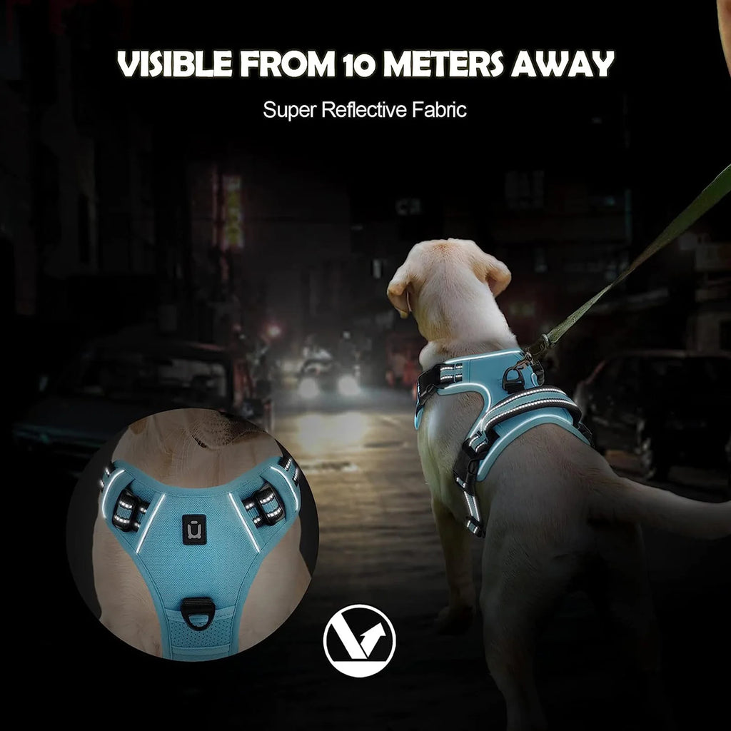 Harnais anti-traction réglable pour chien + laisse