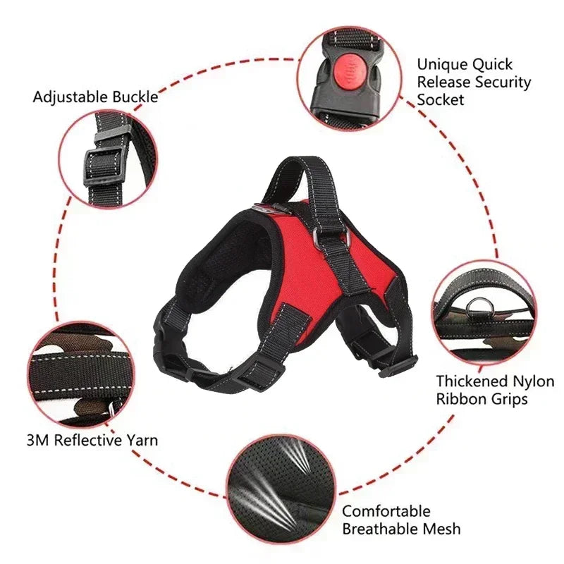Harnais anti-traction réglable pour chien + laisse