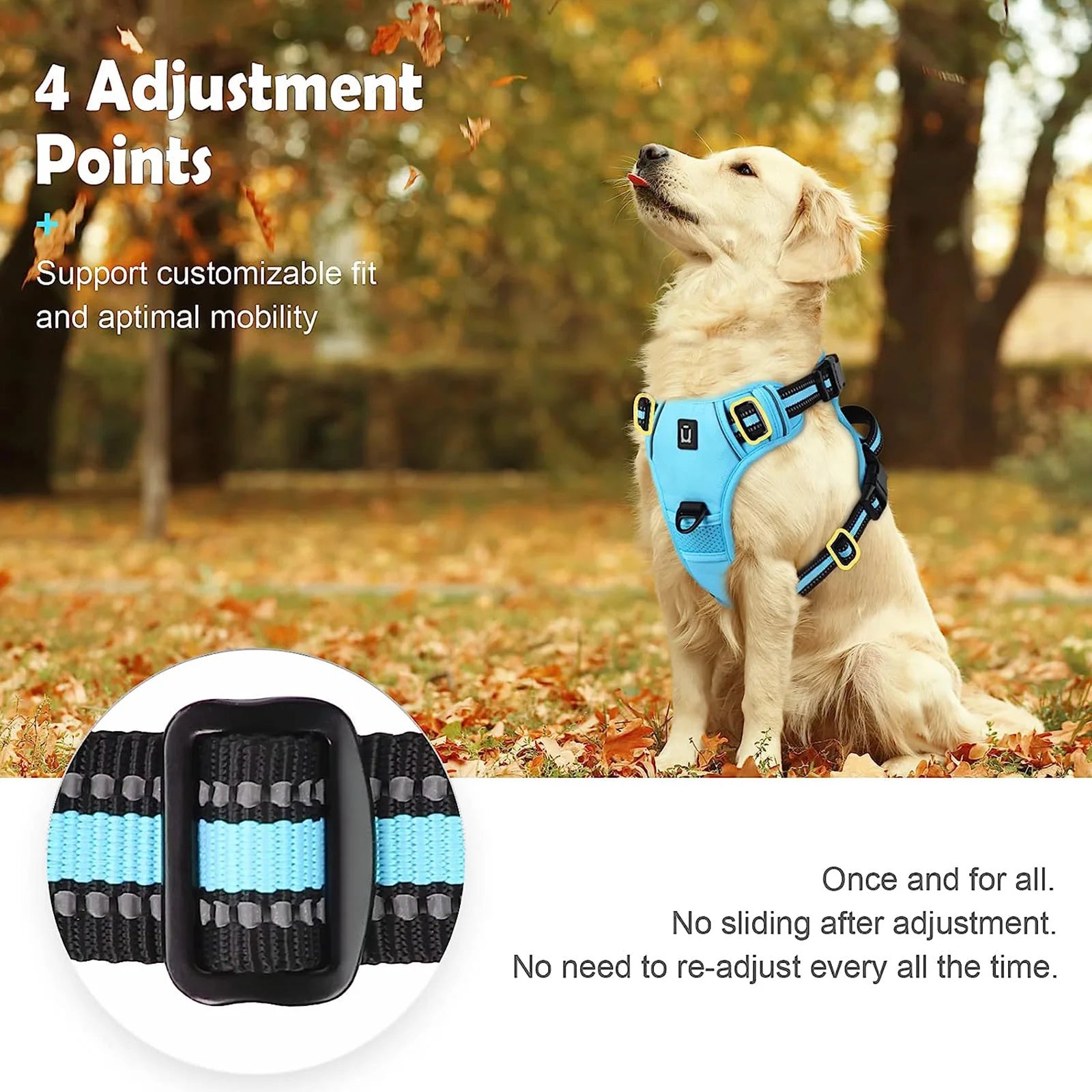 Harnais anti-traction réglable pour chien + laisse