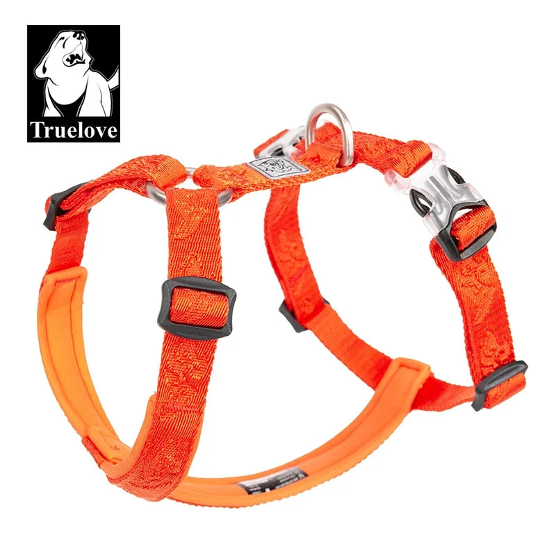 Harnais anti-traction réglable pour chien + laisse