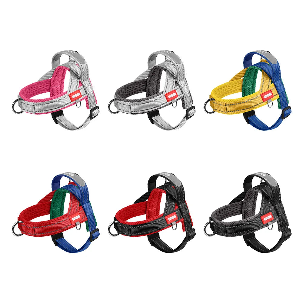 Harnais anti-traction réglable pour chien + laisse