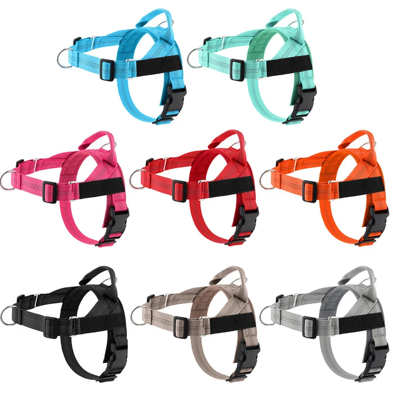 Harnais anti-traction réglable pour chien + laisse