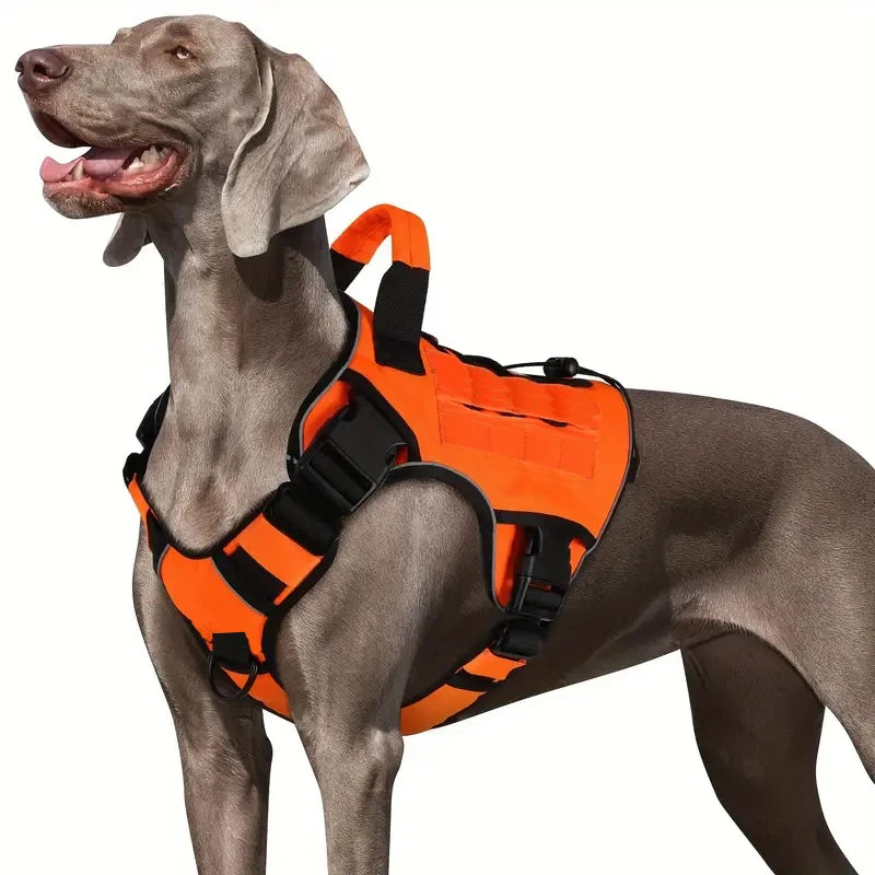 Harnais anti-traction réglable pour chien + laisse