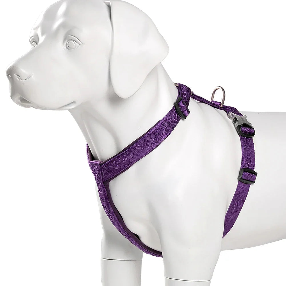 Harnais anti-traction réglable pour chien + laisse