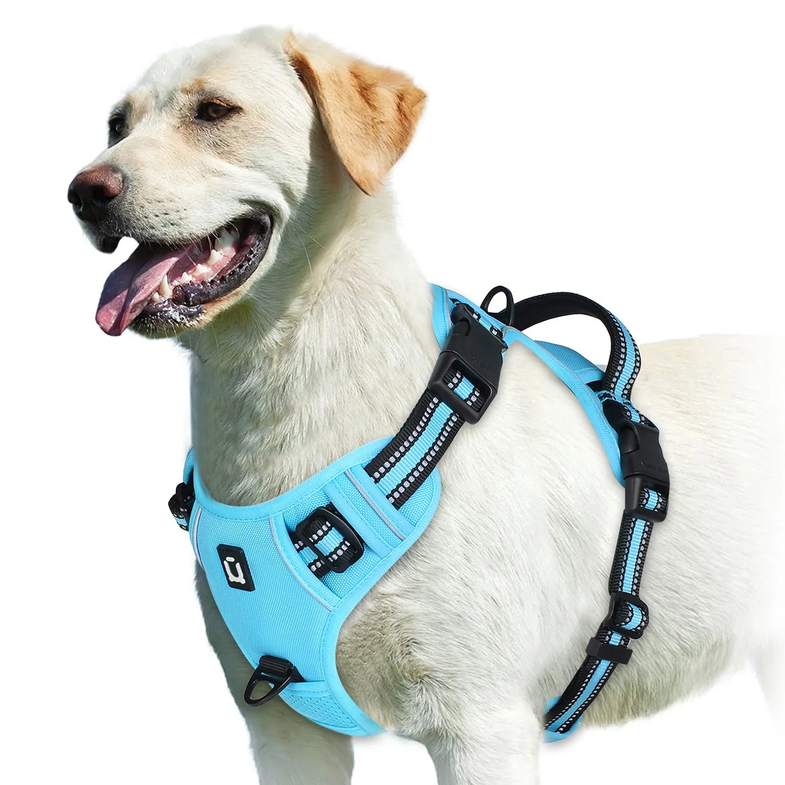 Harnais anti-traction réglable pour chien + laisse